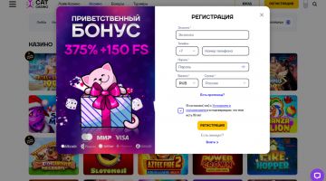 Cat Casino — регистрация на официальном сайте